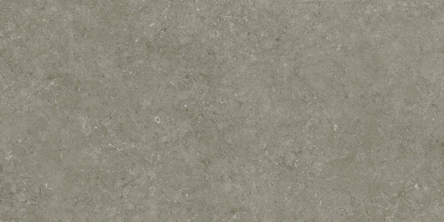 MARA GRIS 60 x 120 | PaloRosa