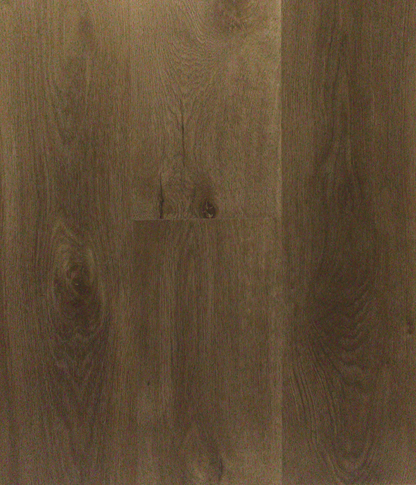 Marbella Oak Otoño