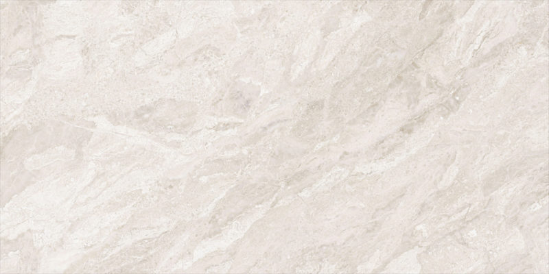 Imagine Natural Pulido 60x120 | Palorosa En