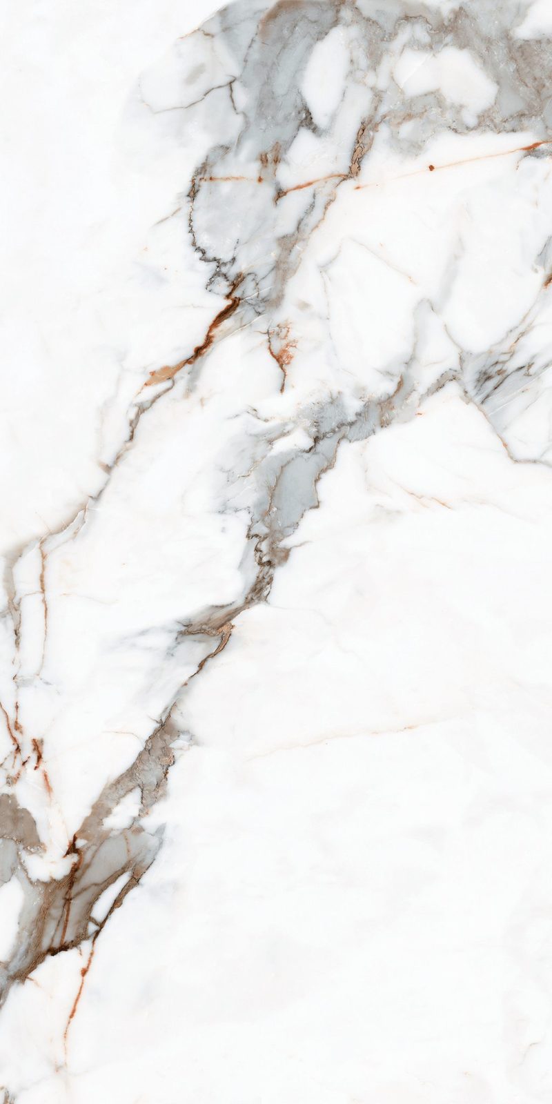 SILICA | Palorosa En