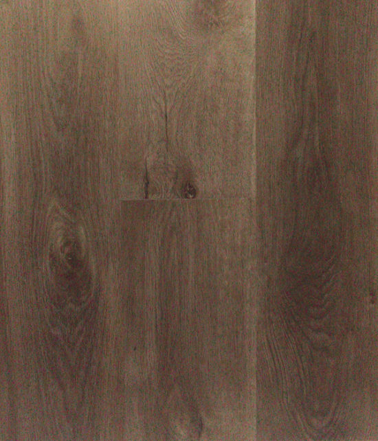 Marbella Oak Otoño