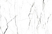 White Marquina 60X120 | Palorosa Fr