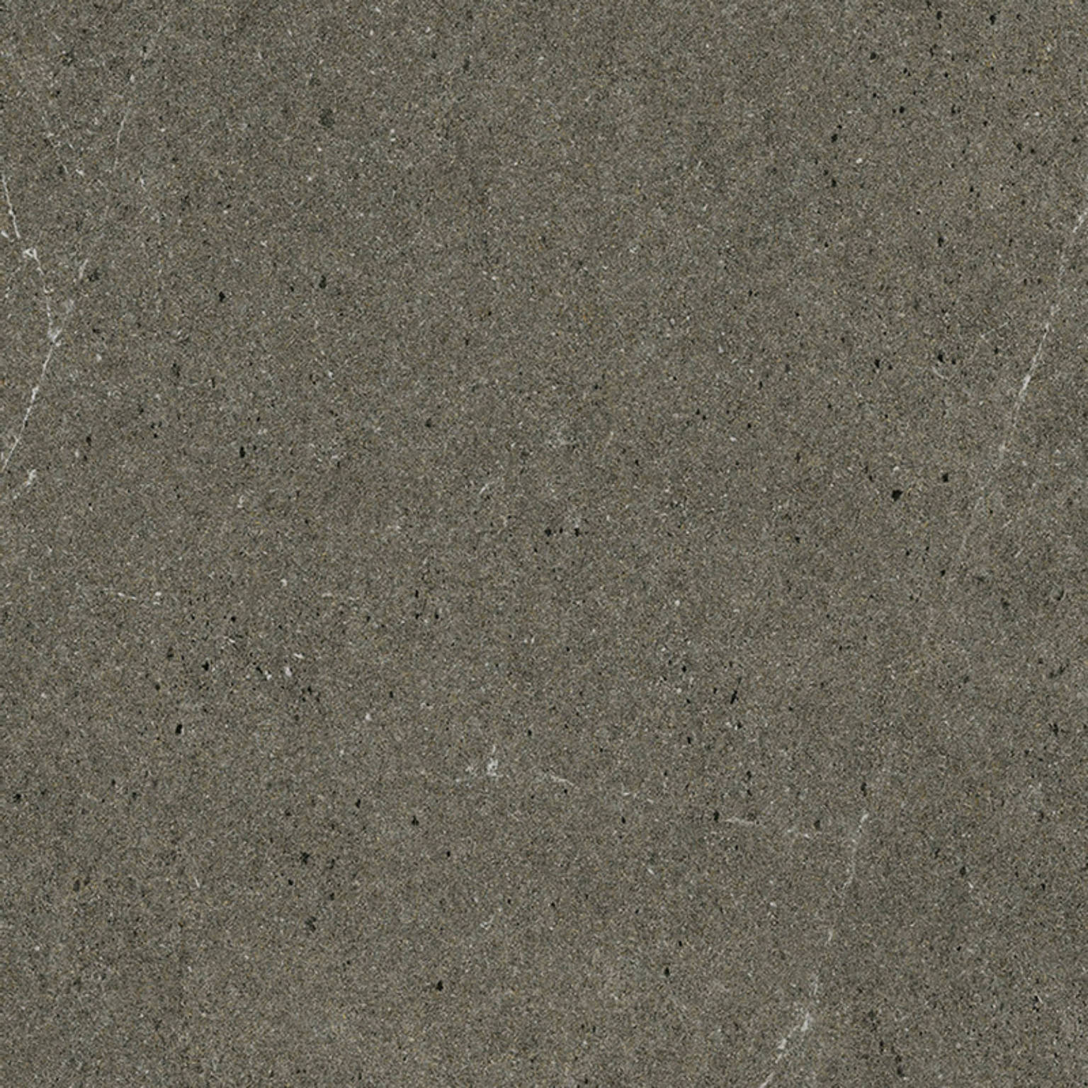 JAVA NOCE 60 x 60 | PaloRosa