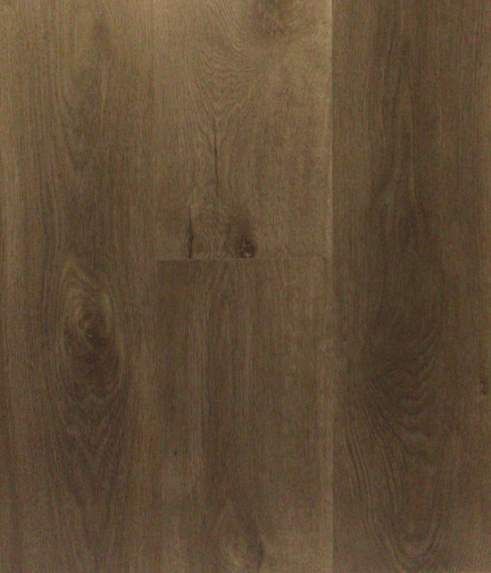 Marbella Oak Otoño