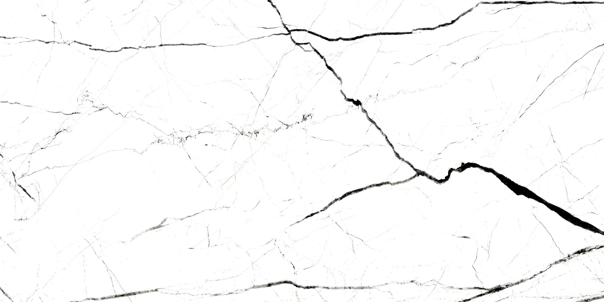 White Marquina 60X120