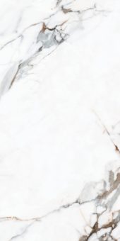 SILICA | PaloRosa
