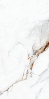 SILICA | PaloRosa